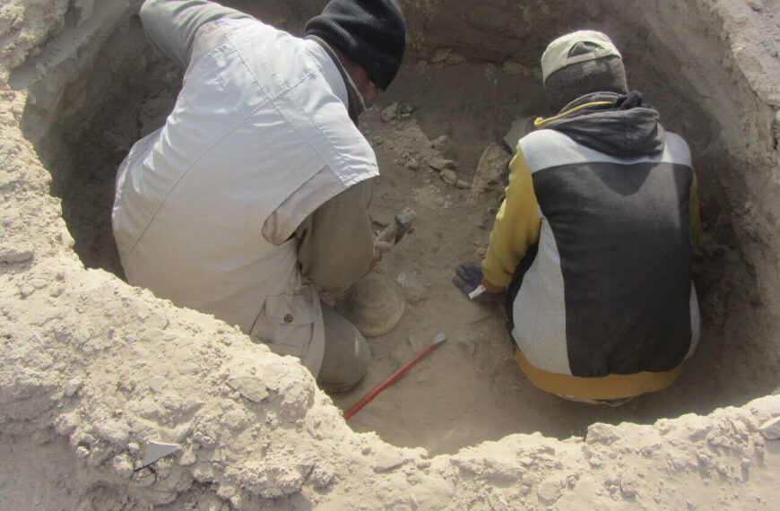 Ancient Treasures Unearthed: Remarkable Antiquities from 1st and 2nd Millennium BC Found in Western Iran