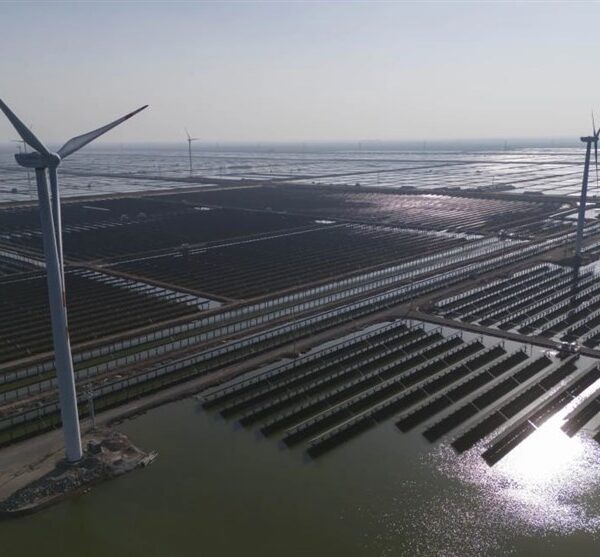 China's 2024 Breakthrough: Unprecedented Growth in Wind and Solar Energy Expansion