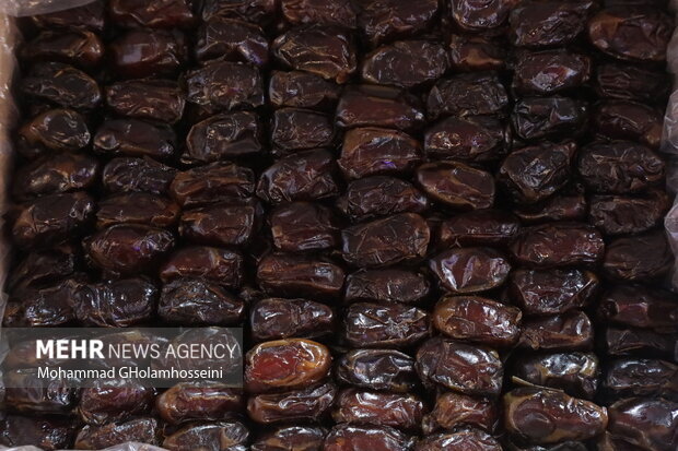 Iran's Fresh Dates Delight: Exporting to 80 Countries in Just 8 Months!