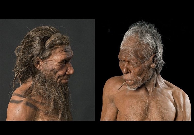 Unlocking the Past: Ancient Genes Reveal the Timeline of Human-Neanderthal Interbreeding