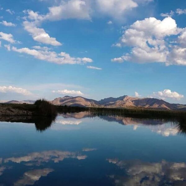 Gandoman Joins Ramsar Convention: Iran's 27th Wetland Designated for Global Conservation