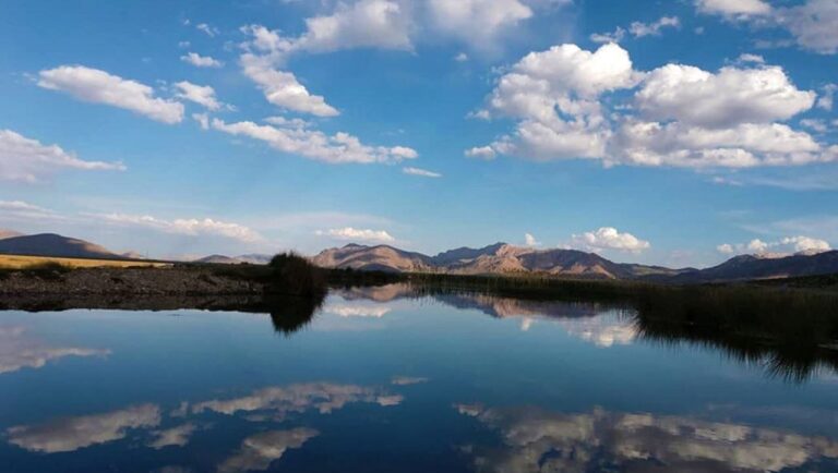 Gandoman Joins Ramsar Convention: Iran's 27th Wetland Designated for Global Conservation