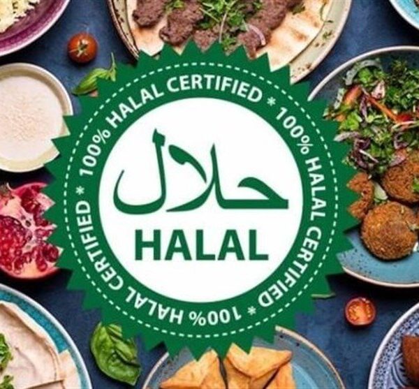 Global Halal Tourism Market Set to Soar to $410 Billion by 2032: A Lucrative Future Awaits!