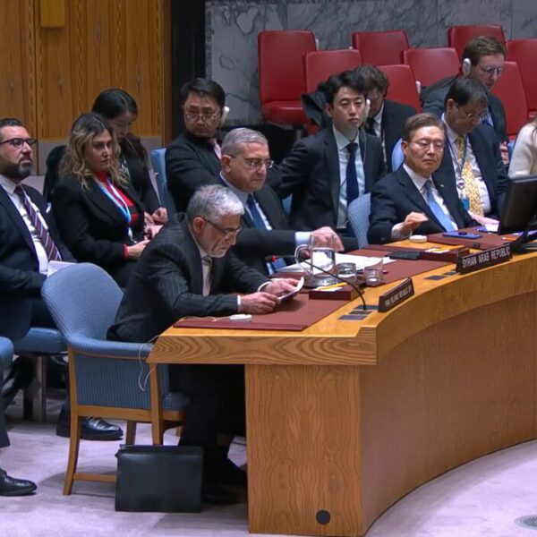 Iran Advocates for Inclusive Government in Syria at United Nations Security Council