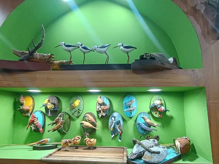 Khuzestan Unveils National Birdwatching Secretariat: A New Hub for Avian Enthusiasts!