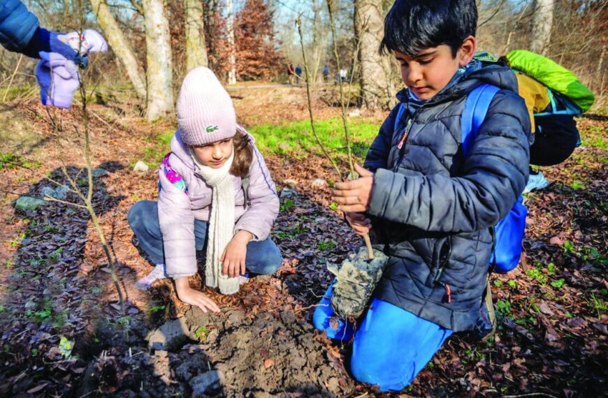 Kids Go Green: Planting Hyrcanian Saplings for a Sustainable Future!