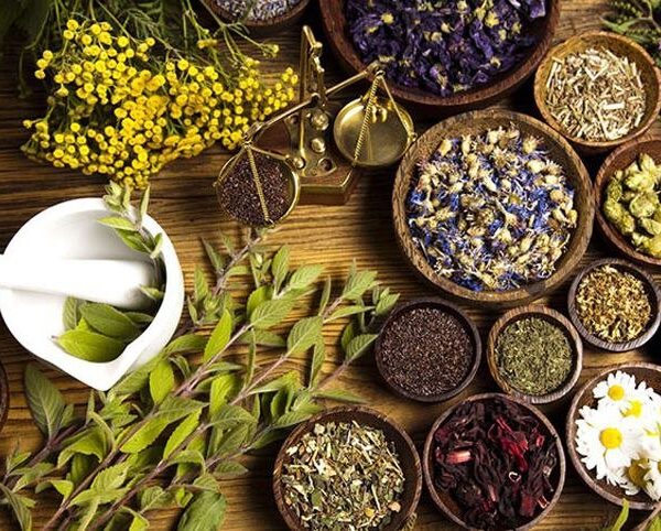 Persian Medicine Festival: A Catalyst for Knowledge-Based Enterprises, Says Official