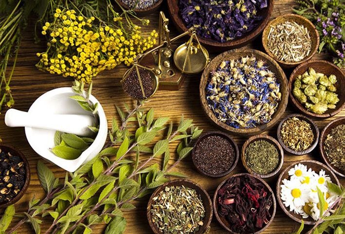 Persian Medicine Festival: A Catalyst for Knowledge-Based Enterprises, Says Official