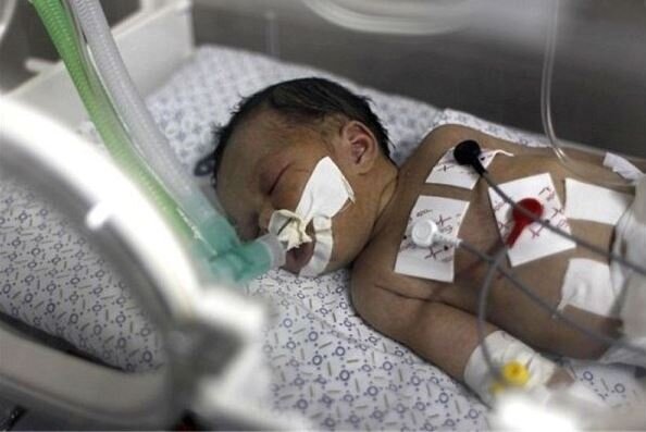 Tragic Winter: Three Palestinian Infants Lose Their Lives to Harsh Cold