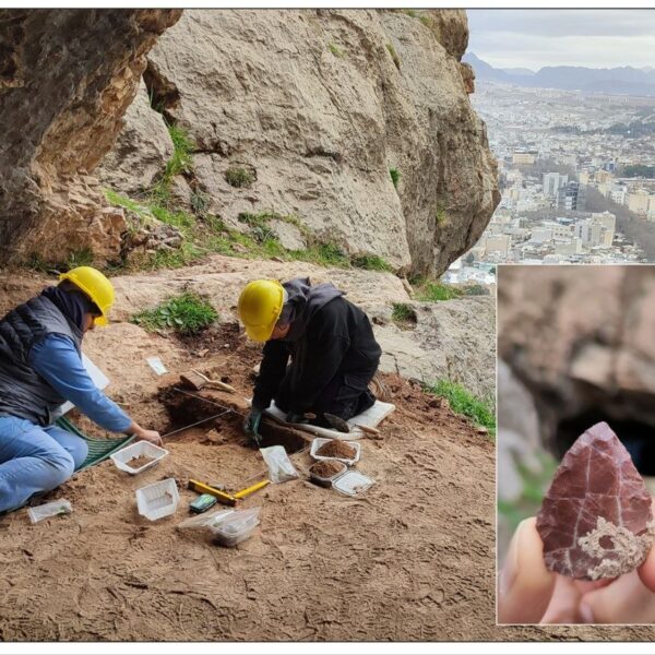 Ancient Neanderthal Habitation Unearthed in Qamari Cave, Western Iran: A Glimpse into Prehistoric Life