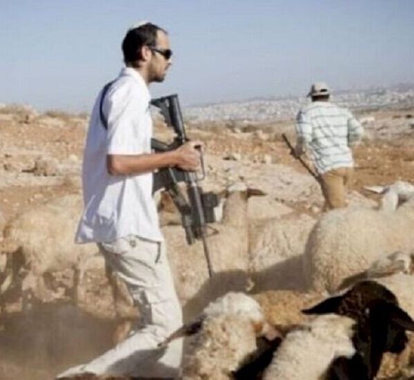 Armed Shepherds: Unveiling Israel's High-Stakes Initiative in the West Bank