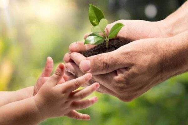 Celebrate National Environmental Education Day: Inspiring Future Generations for a Greener Planet!