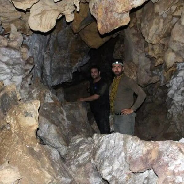 Exciting Discovery: Hidden Limestone Cave Uncovered in Rural Backyard After Land Subsidence!