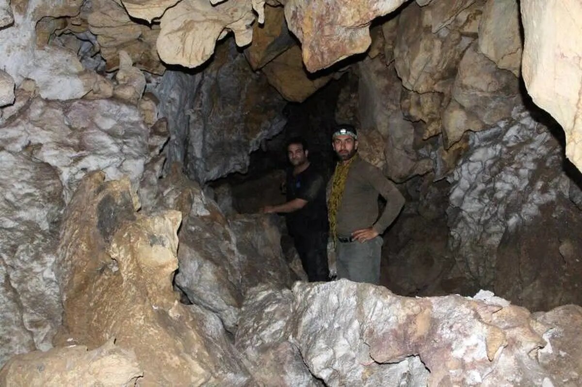 Exciting Discovery: Hidden Limestone Cave Uncovered in Rural Backyard After Land Subsidence!