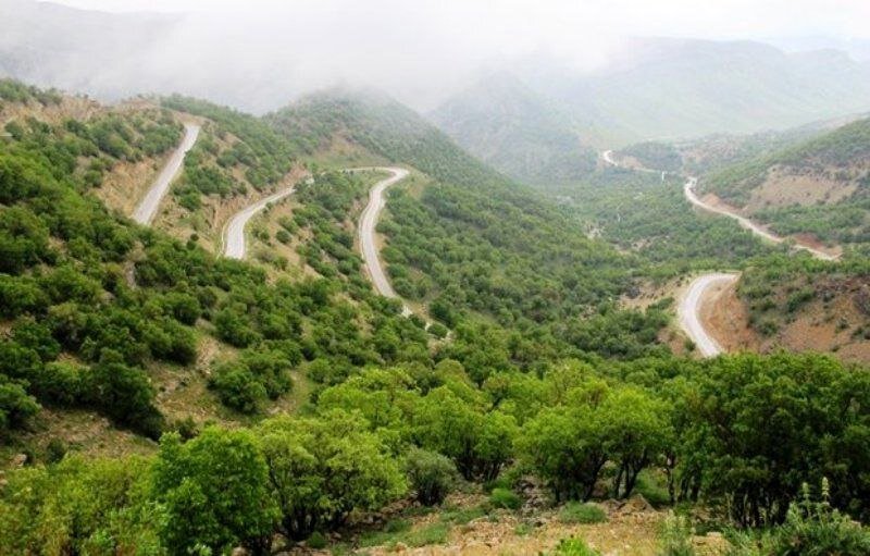 Global Experts Gather for International Conference on the Vital Zagros Forest