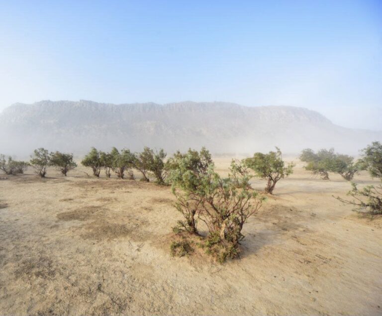 Tehran Unites for a Greener Future: National Conference on Natural Resource Conservation