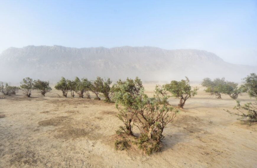 Tehran Unites for a Greener Future: National Conference on Natural Resource Conservation