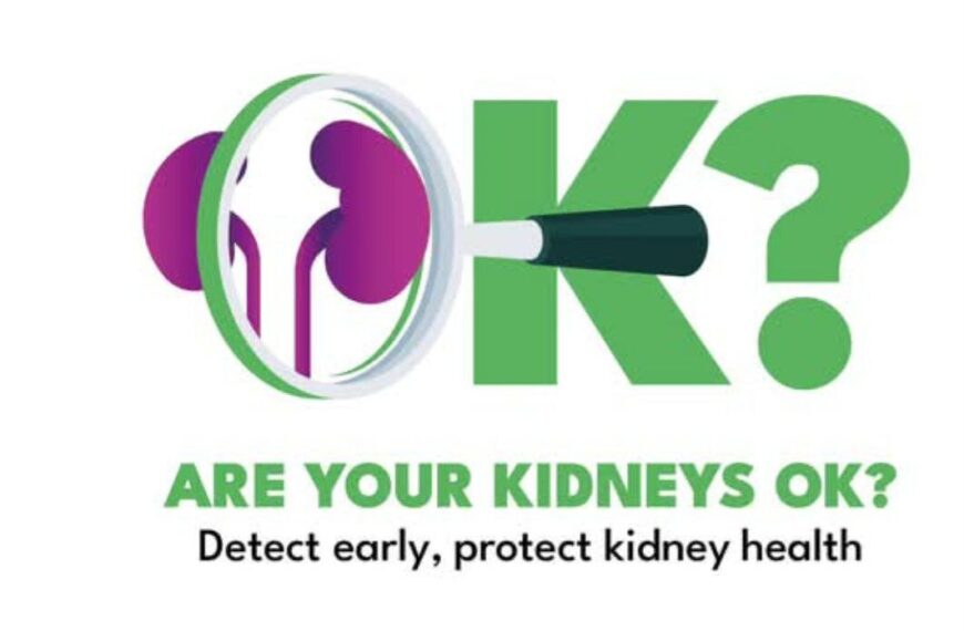 Unlocking Kidney Health: The Crucial Role of Regular Screenings