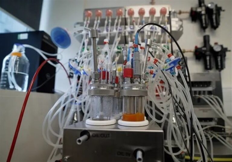 Revolutionary Space Mission Aims to Cultivate Food in Orbit from Zero!