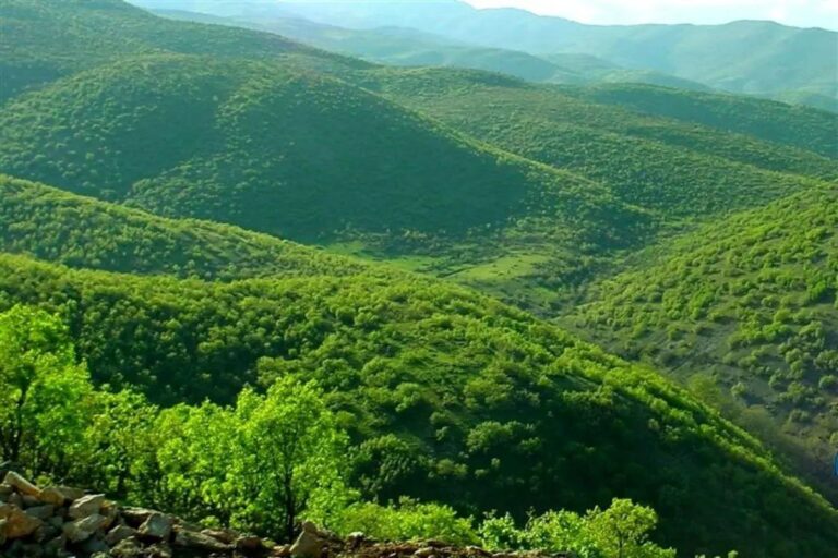 UN ESCAP Embraces Iran's Vision for Safeguarding the Enchanting Zagros Forests