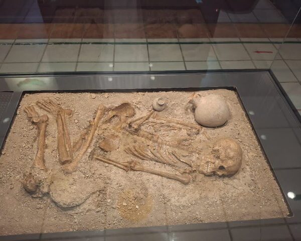 Ancient Discovery: 3,200-Year-Old Iron Age Woman's Skeleton Unearthed in Northern Iran