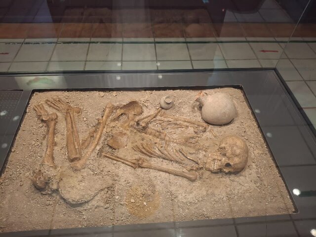 Ancient Discovery: 3,200-Year-Old Iron Age Woman's Skeleton Unearthed in Northern Iran