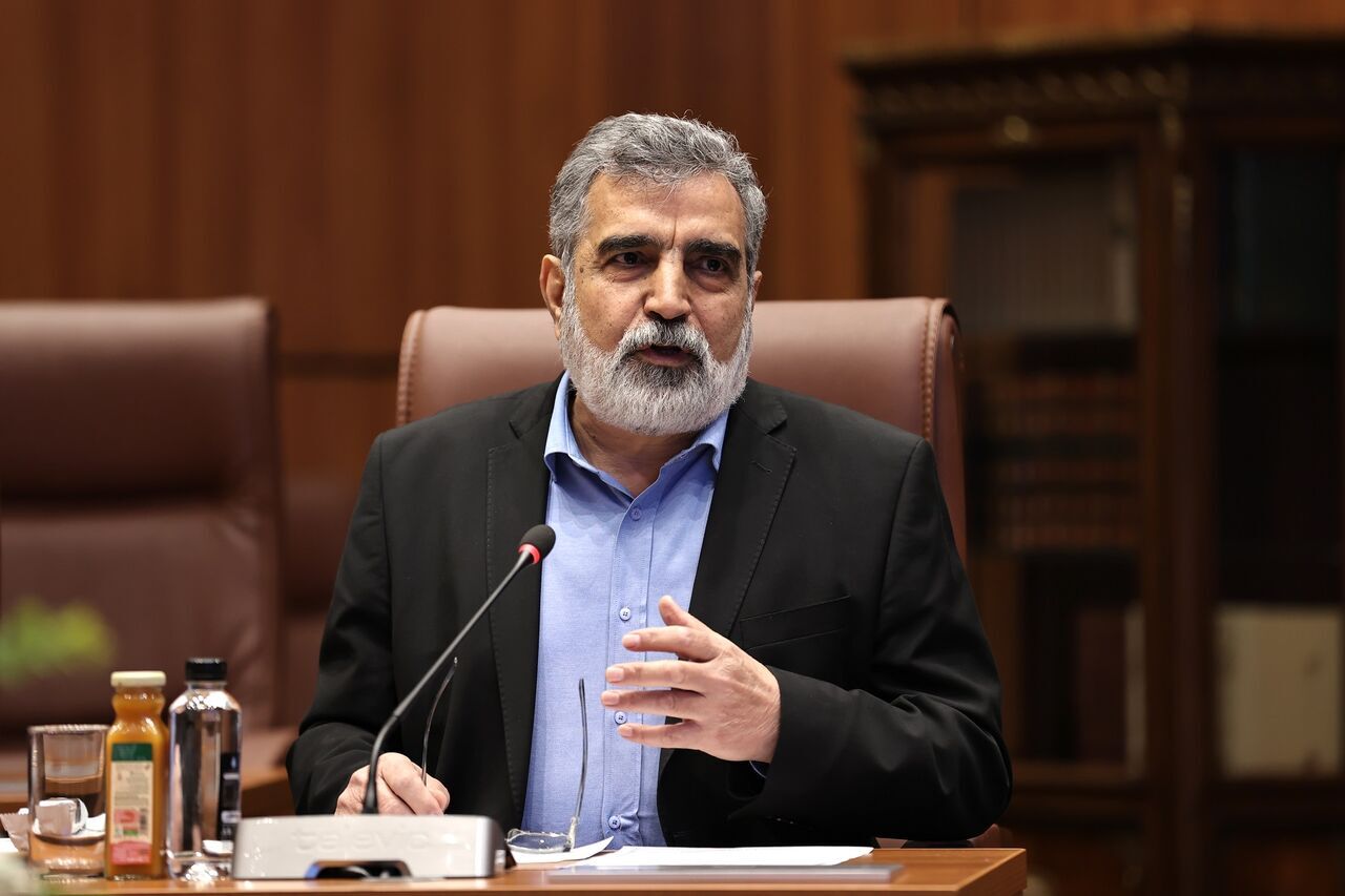 Beyond Iran: Other Nations Enriching Uranium Without Nuclear Weapons, Says Official