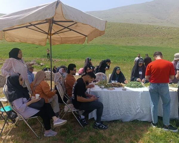 Delicious Discoveries: Culinary Tour Showcases Kermanshah's Rich Flavors for International Students
