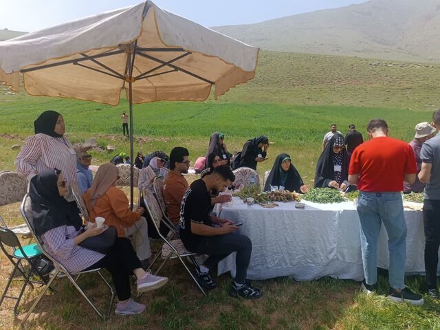 Delicious Discoveries: Culinary Tour Showcases Kermanshah's Rich Flavors for International Students