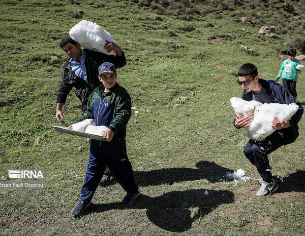 Embracing Tradition: Larijan Residents Celebrate the Vibrant 'Snow Storing' Ceremony of Varf Chal