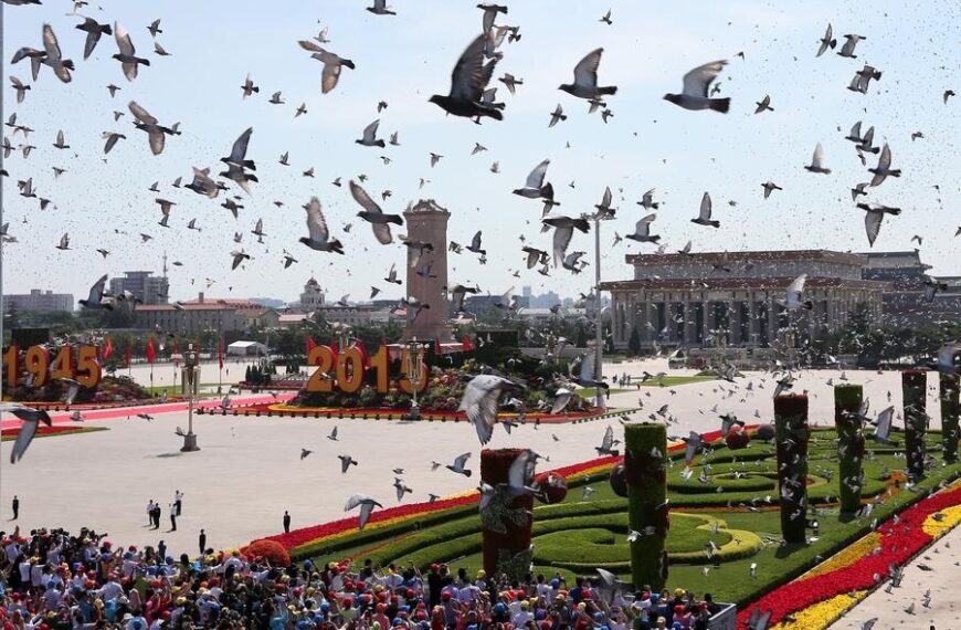 Empowering Future Generations: The Legacy of Peace Passed Down