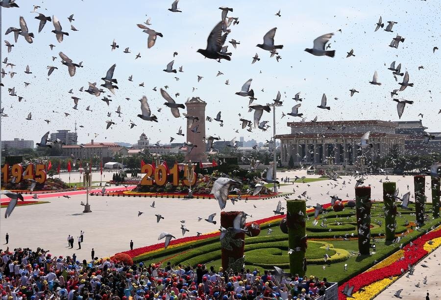 Empowering Future Generations: The Legacy of Peace Passed Down