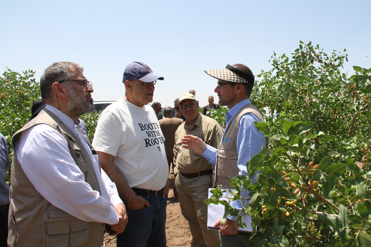 FAO Expert Visits Iran to Enhance Pistachio Competitiveness and Global Market Reach