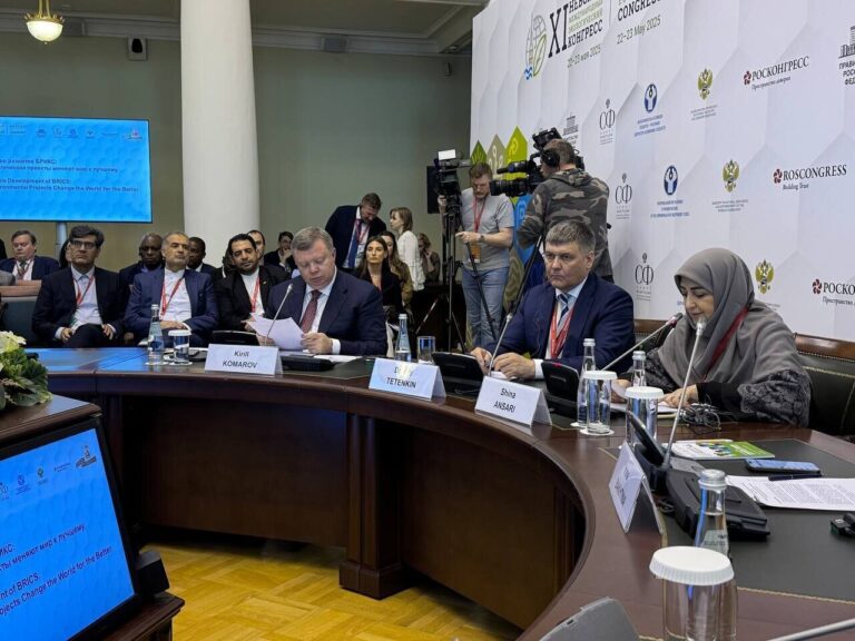 Global Cooperation: The Key to Unlocking Sustainable Development, Says DOE Leader