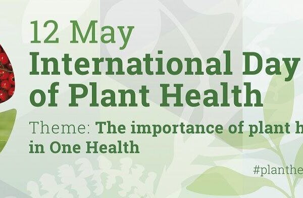 Guarding Greenery: How Safeguarding Plants Saves Lives!
