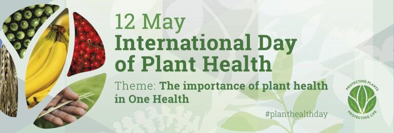 Guarding Greenery: How Safeguarding Plants Saves Lives!