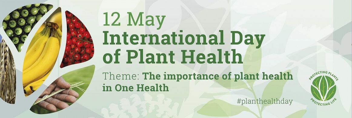 Guarding Greenery: How Safeguarding Plants Saves Lives!