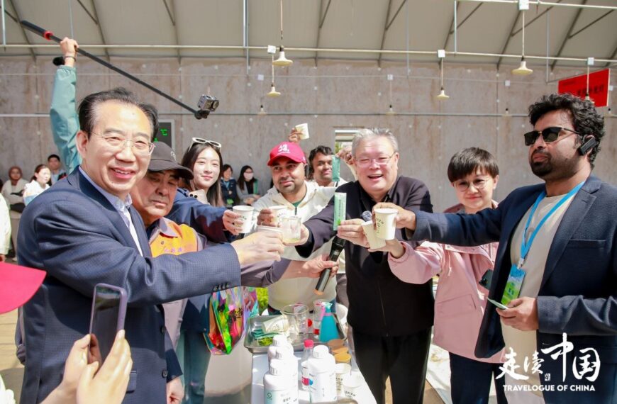 Inner Mongolia Sparks Green Farming Revolution: China's Sustainable Agriculture Transformation
