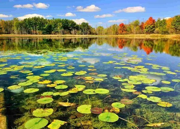 Iran Celebrates May 21 as National Ecotourism Day: A Tribute to Sustainable Travel