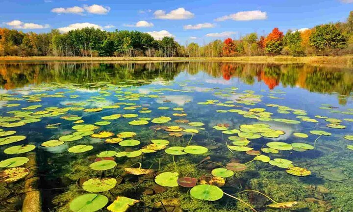 Iran Celebrates May 21 as National Ecotourism Day: A Tribute to Sustainable Travel