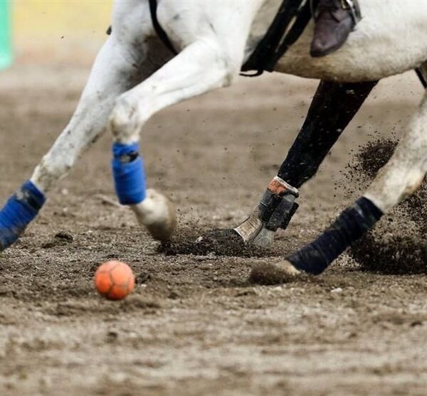 Iran Secures Spot in 2025 World Polo Championship: A Historic Qualification!