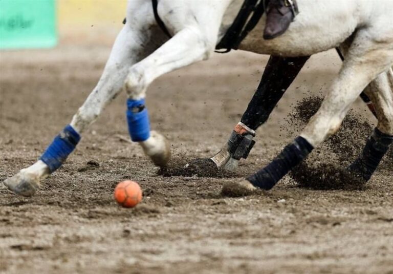 Iran Secures Spot in 2025 World Polo Championship: A Historic Qualification!