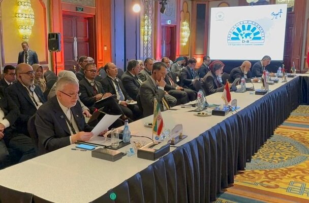 Iran Unveils Strategic Tourism Roadmap at D-8 Summit in Cairo: A New Era for Regional Travel