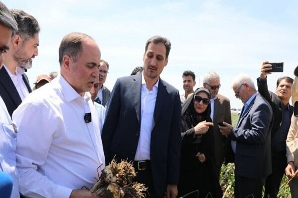 Iran to Host Groundbreaking ECO Ministerial Meeting: A Focus on Regional Cooperation and Development