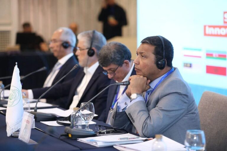 Iran's Pivotal Role in AI Fueled by Indigenized Technology, Says COMSTECH Official