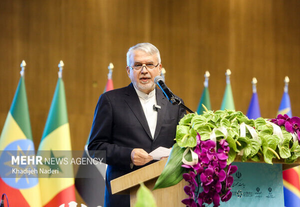 Minister Showcases Isfahan's Rich Cultural Heritage at Iran-Africa Conference