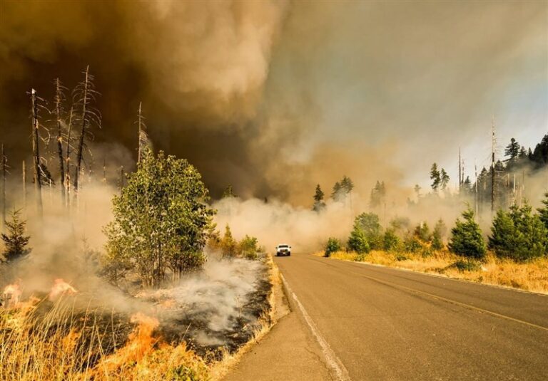 New Study Reveals Alarming Climate Risks for Today's Newborns: A Call to Action for Future Generations