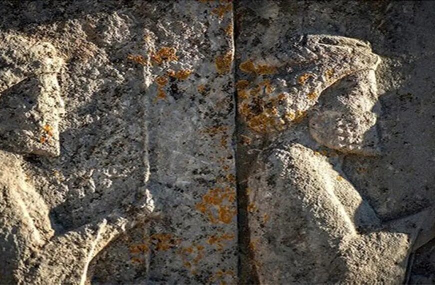 Persepolis Enshrined in Scientific History: Newly Discovered Lichen Adds to Its Legacy