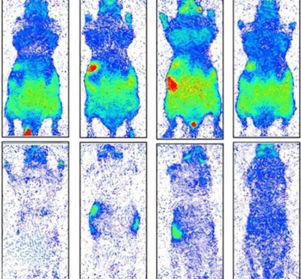 Revolutionary Discovery: Scientists Unveil Biophoton Emissions in Living Mice and Plants!