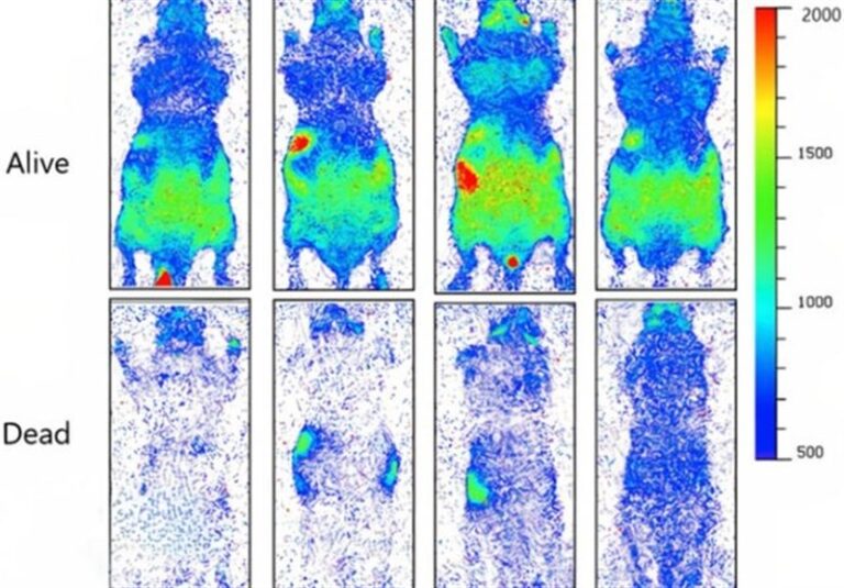 Revolutionary Discovery: Scientists Unveil Biophoton Emissions in Living Mice and Plants!